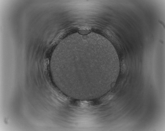 X0000102380229200808291408