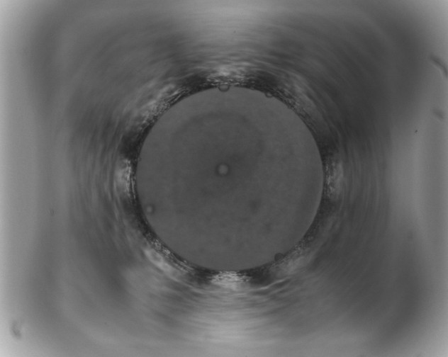 X0000102380231200808291408