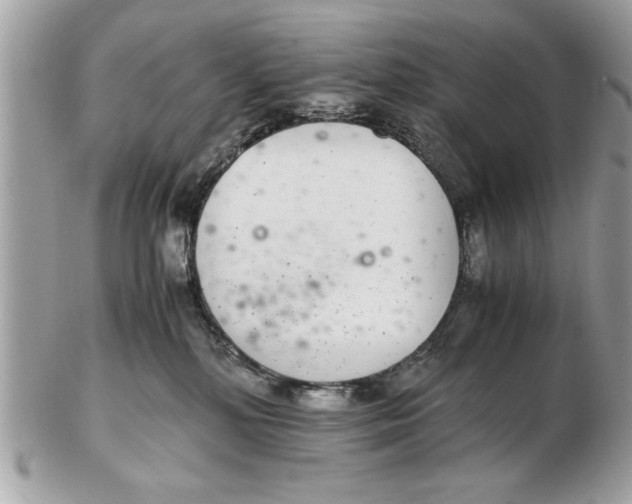 X0000102380232200808291408