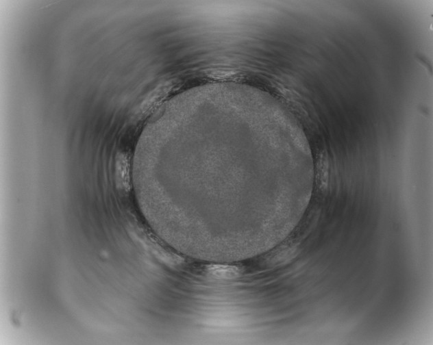 X0000102380234200808291408