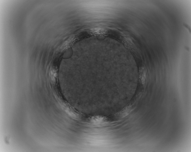 X0000102380235200808291408