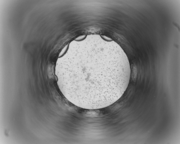 X0000102380236200808291408