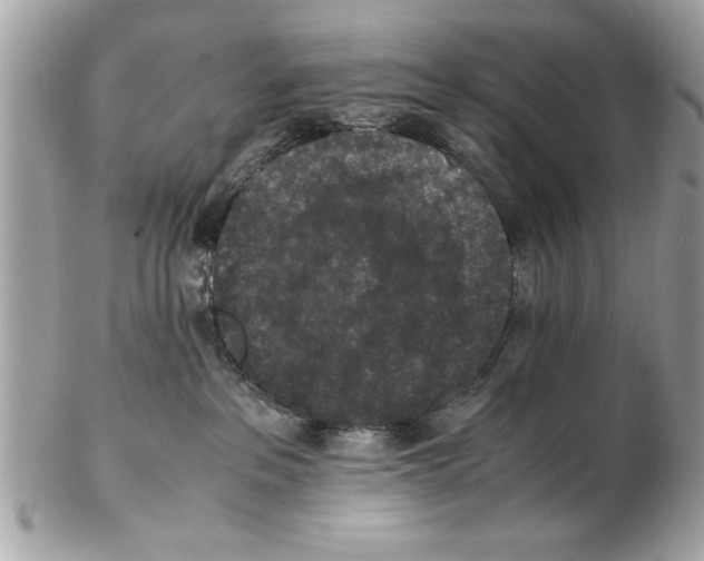 X0000102380237200808291408