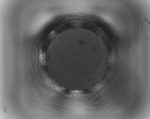 X0000102380239200808291408