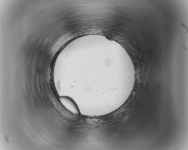 X0000102380242200808291407