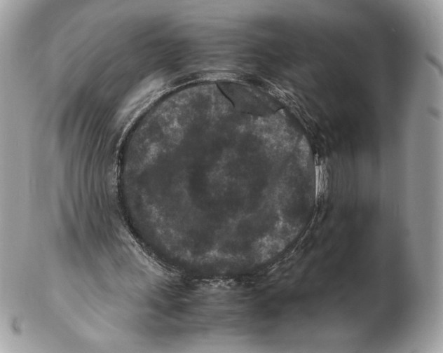 X0000102380243200808291407