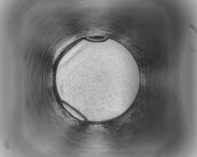 X0000102380244200808291407