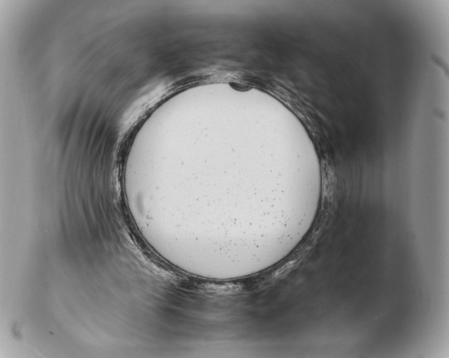 X0000102380245200808291407