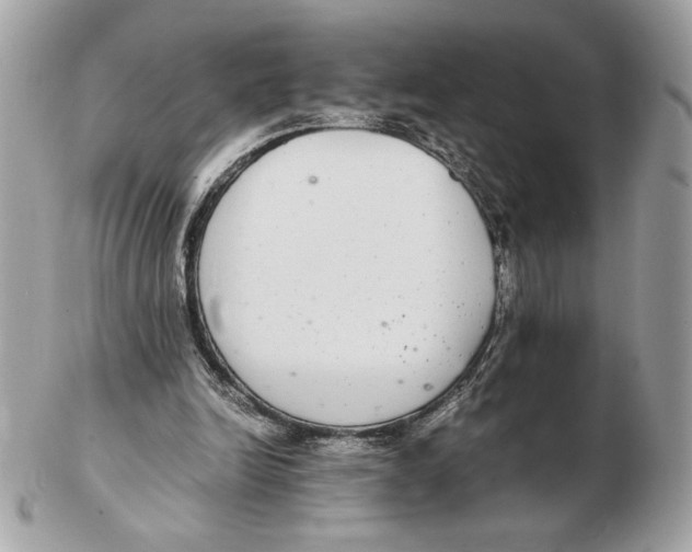 X0000102380246200808291407