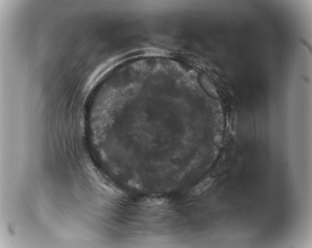 X0000102380247200808291407