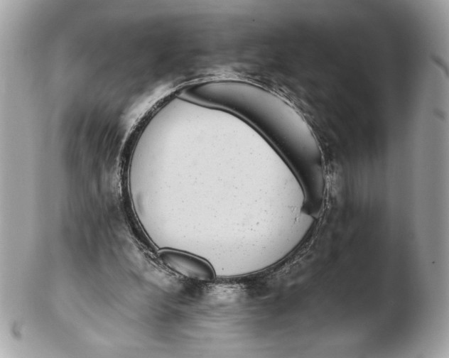 X0000102380248200808291407