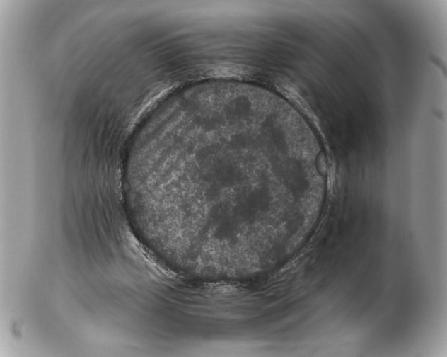 X0000102380249200808291407