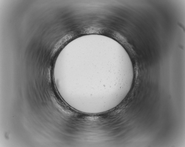 X0000102380250200808291407