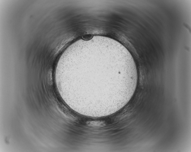 X0000102380251200808291407