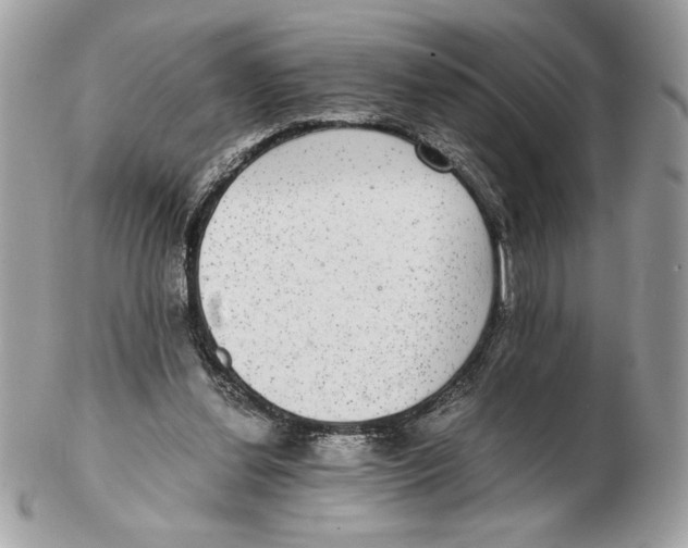 X0000102380252200808291407