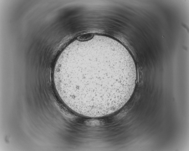 X0000102380253200808291407