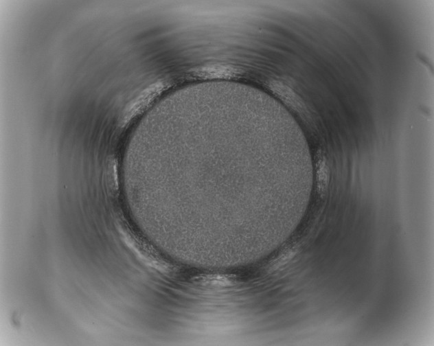 X0000102380254200808291407