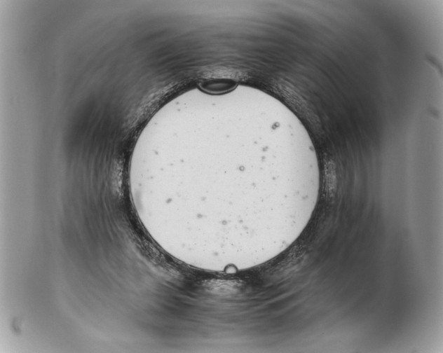 X0000102380255200808291407