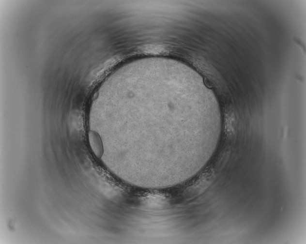 X0000102380256200808291407