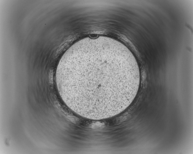 X0000102380257200808291407