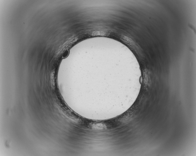 X0000102380258200808291408