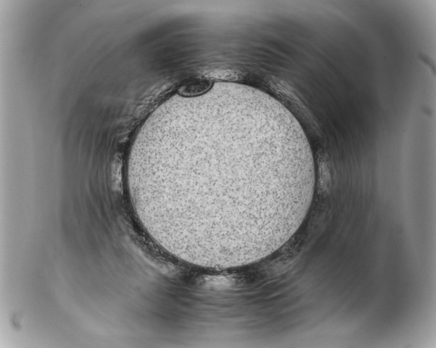 X0000102380259200808291408