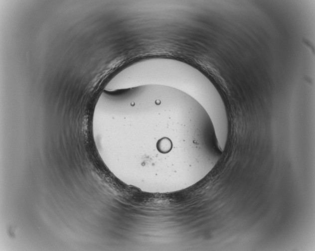 X0000102380260200808291408