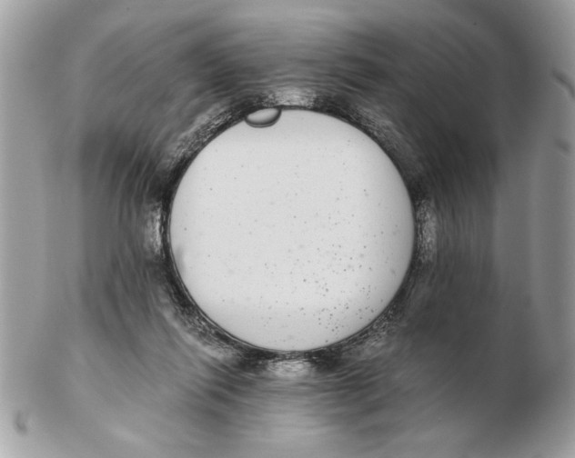 X0000102380262200808291408