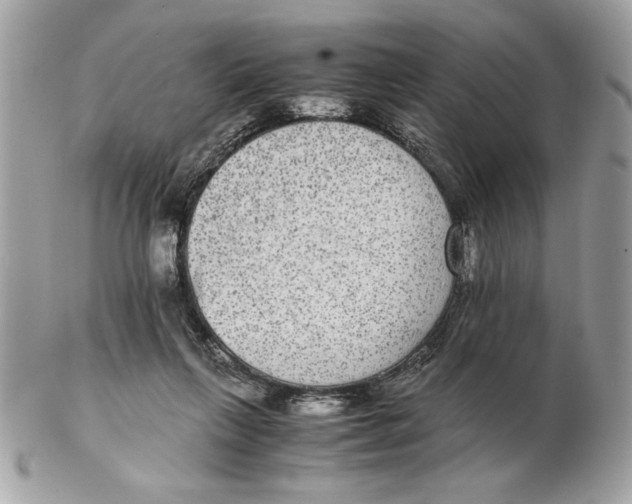 X0000102380263200808291408