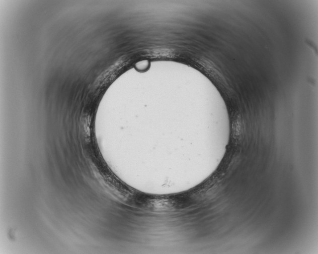 X0000102380264200808291408