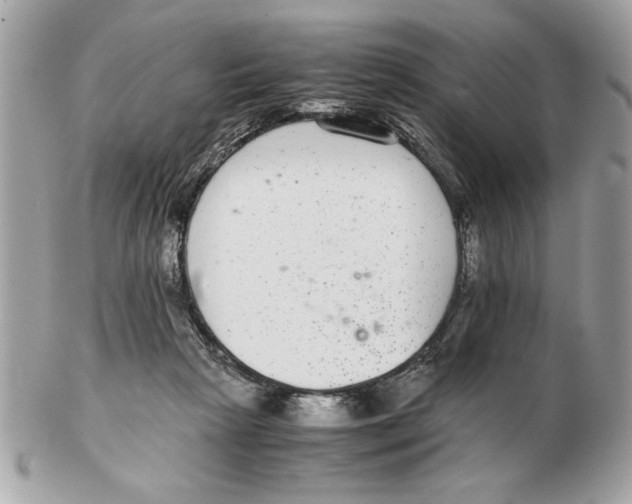 X0000102380265200808291408