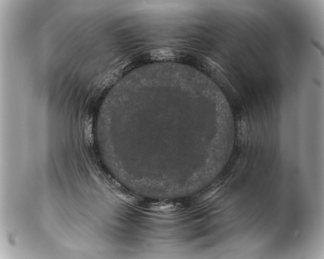 X0000102380267200808291408