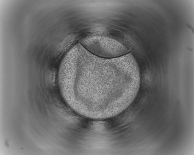 X0000102380268200808291408