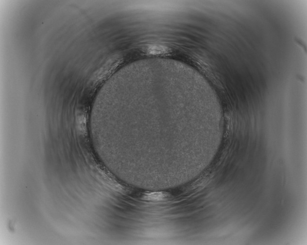 X0000102380269200808291408