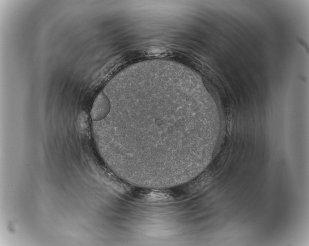 X0000102380270200808291408