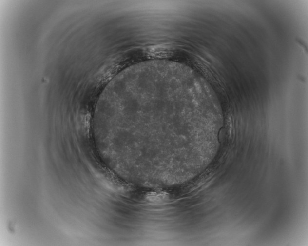 X0000102380271200808291408