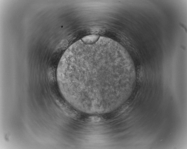 X0000102380272200808291408