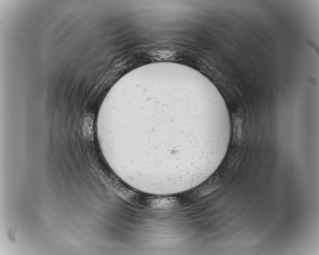 X0000102380274200808291408