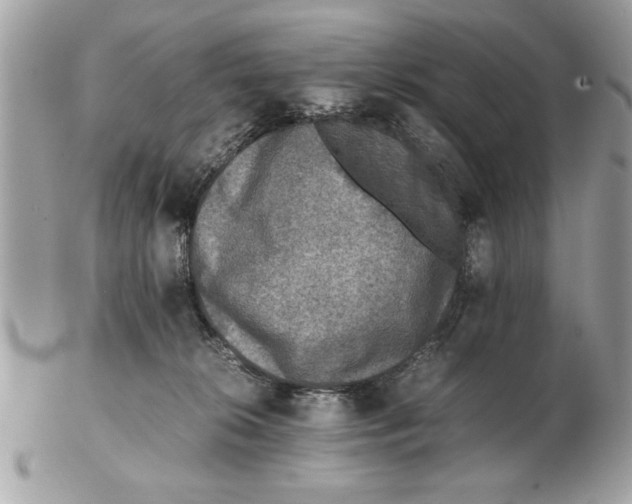 X0000102380276200808291408