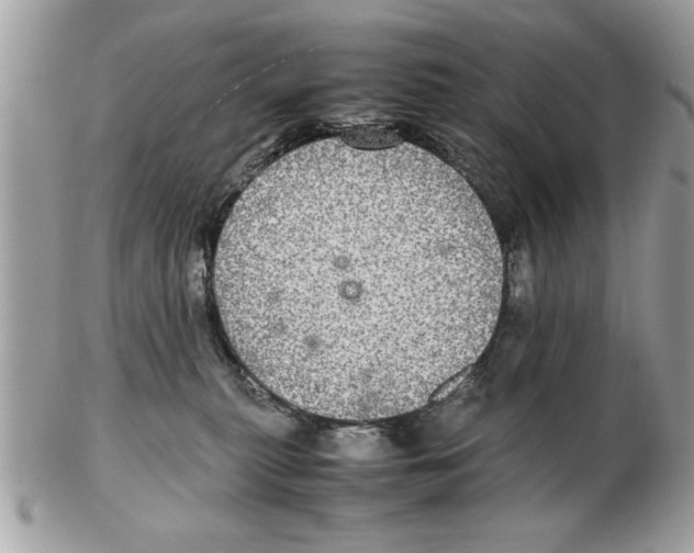 X0000102380279200808291408