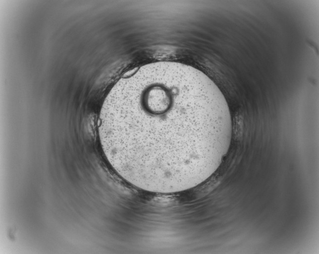 X0000102380280200808291408