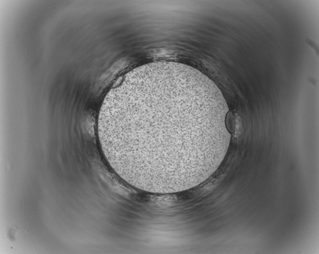 X0000102380282200808291408