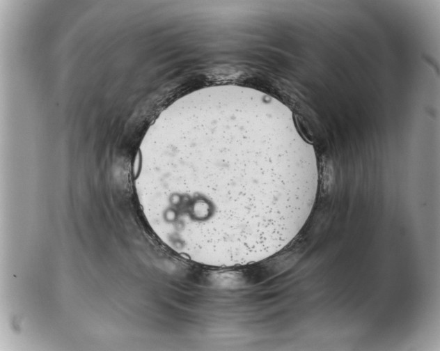 X0000102380283200808291408