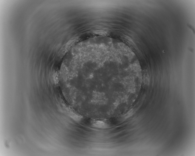 X0000102380285200808291408