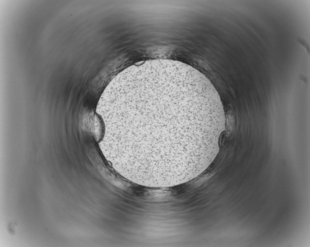 X0000102380286200808291408