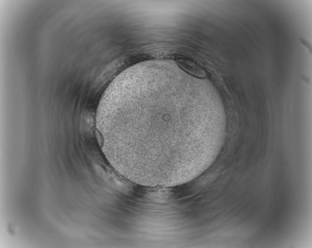 X0000102380288200808291408