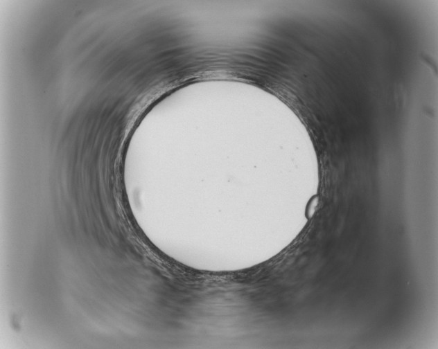 X0000102380289200808291407