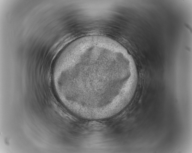 X0000102380290200808291407