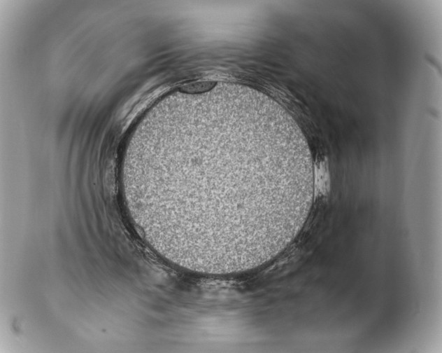 X0000102380291200808291407