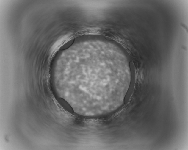 X0000102380293200808291407